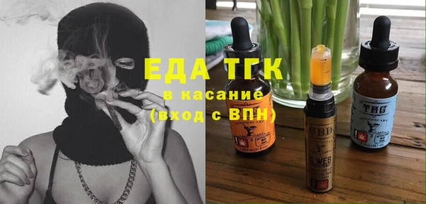 крисы Бородино