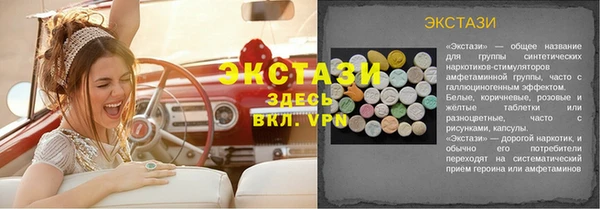 крисы Бородино