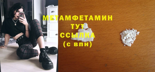 крисы Бородино