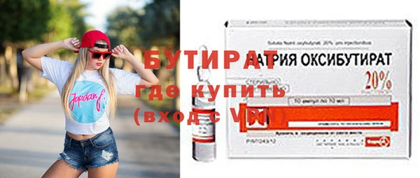 крисы Бородино