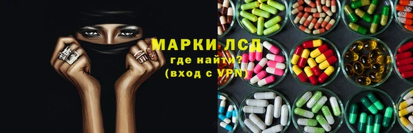 крисы Бородино
