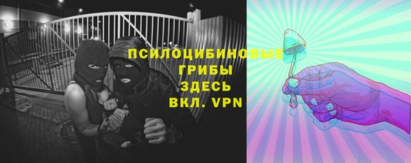 мдпв Бугульма