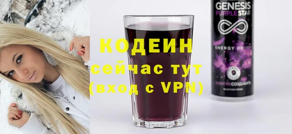 крисы Бородино