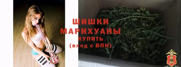 крисы Бородино