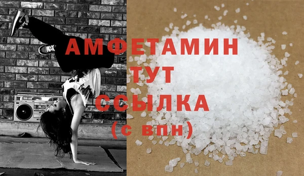 крисы Бородино