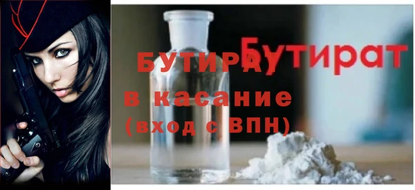 крисы Бородино