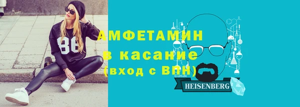 крисы Бородино