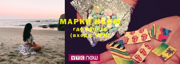 крисы Бородино