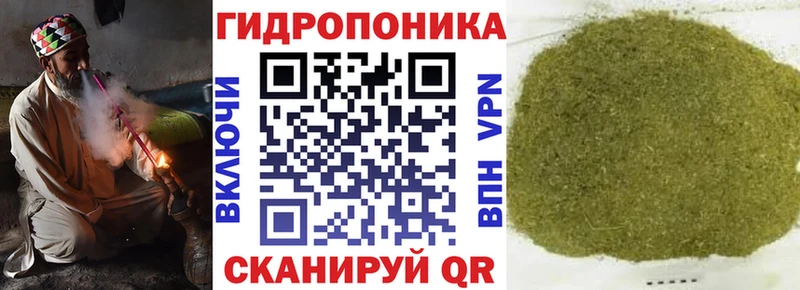 Бошки марихуана марихуана  Острогожск 